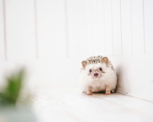 KAZUHIRO171013022_TP_V4