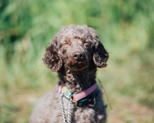 TSURU170308-001_TP_V4