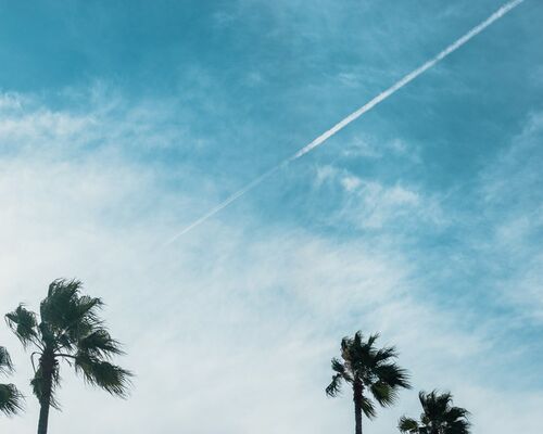 shimarisu082268_TP_V4