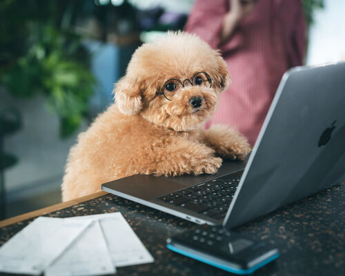 haro20220227-A7401995_TP_V4