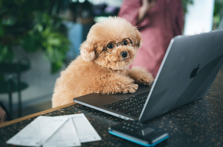 haro20220227-A7401995_TP_V4