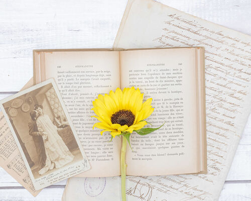 ellycollection033_TP_V4