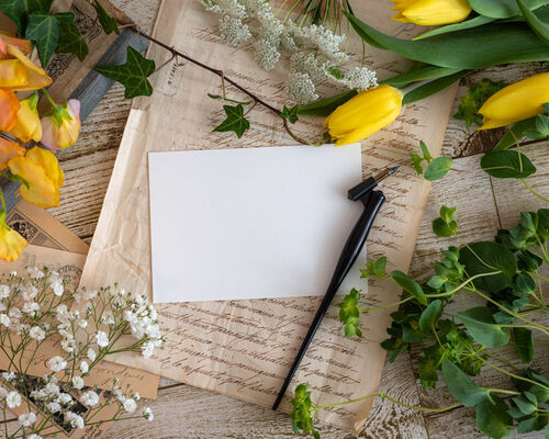 elly21515C1854_TP_V4