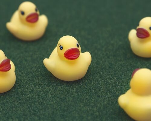 PAK25_neminnakiiteyo32_TP_V