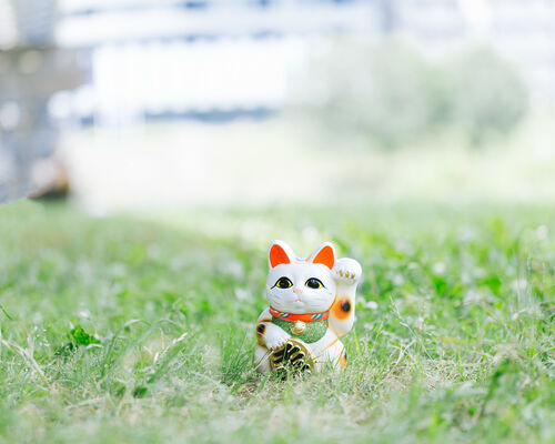 manekineko0I9A0247_TP_V