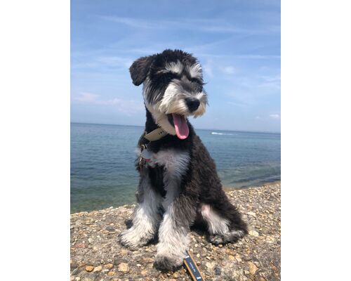 ＳＮＳ用_200923_233