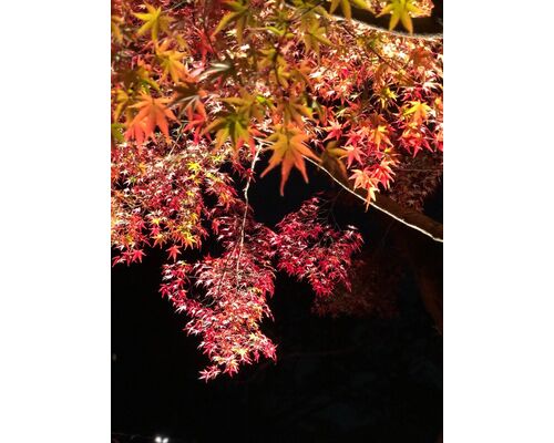 ＳＮＳ用_200923_69