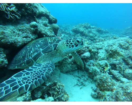 ＳＮＳ用_201007_177