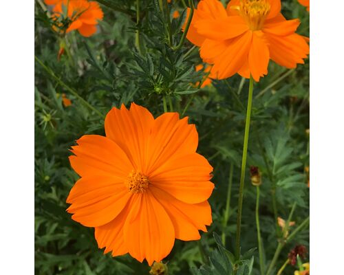 ＳＮＳ用_201007_66