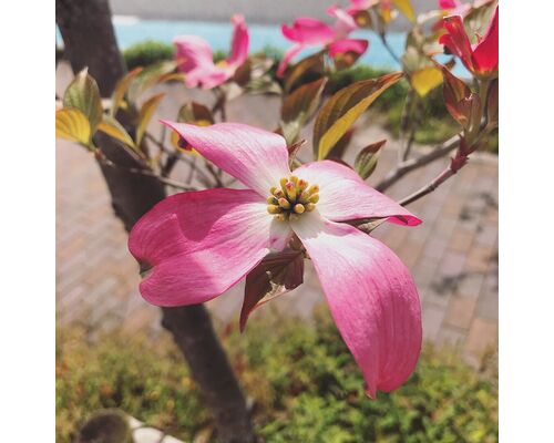 ＳＮＳ用_201013_94