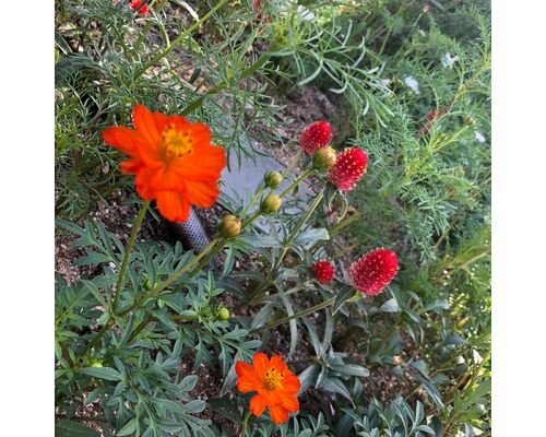 ＳＮＳ用_201013_6