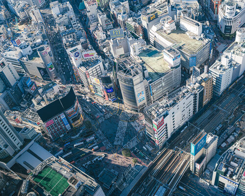 shibuyaPAKU8476_TP_V