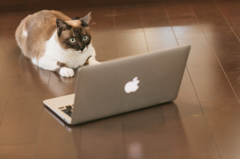 CAT9V9A9145_TP_V