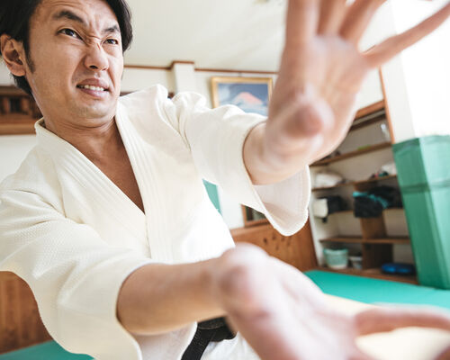 JUDO458A8720_TP_V